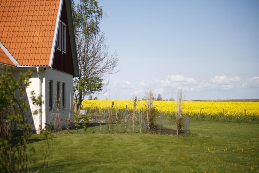 Hobykrok B&B Lund Exterior foto